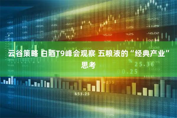 云谷策略 白酒T9峰会观察 五粮液的“经典产业”思考