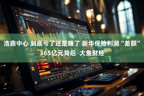 浩鼎中心 到底亏了还是赚了 新华保险利润“差额”365亿元背后  大鱼财经