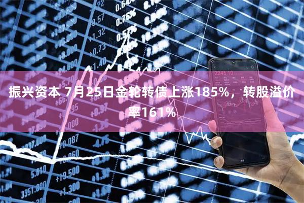 振兴资本 7月25日金轮转债上涨185%，转股溢价率161%