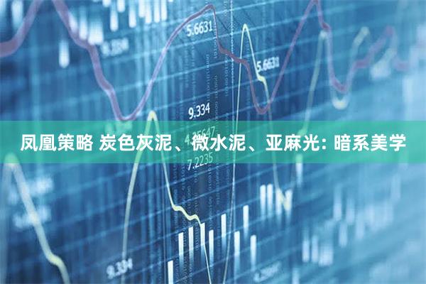 凤凰策略 炭色灰泥、微水泥、亚麻光: 暗系美学