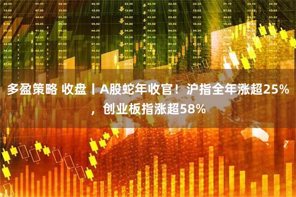 多盈策略 收盘丨A股蛇年收官！沪指全年涨超25%，创业板指涨超58%