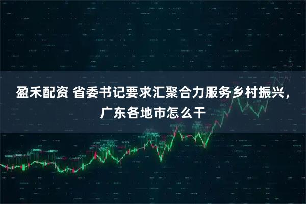 盈禾配资 省委书记要求汇聚合力服务乡村振兴,广东各地市怎么干