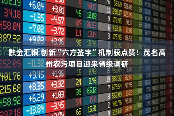 融金汇银 创新“六方签字”机制获点赞!茂名高州农污项目迎来省级调研